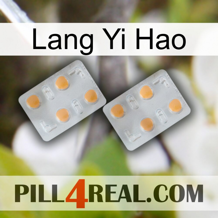 Lang Yi Hao 25